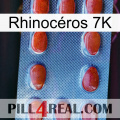 Rhinocéros 7K 06